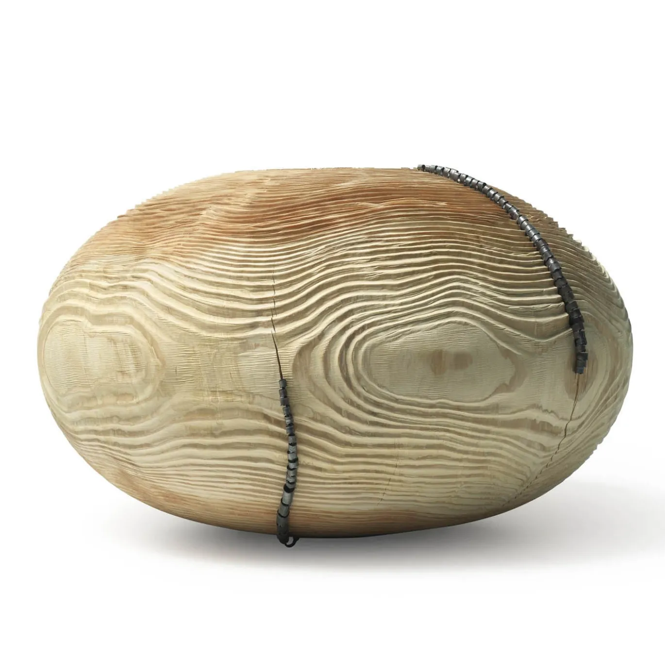 Vaso Mussidae #17