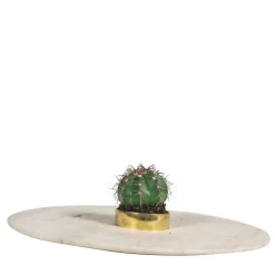 Vaso Orbita 300