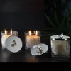 Vaso per candele a coccinella di primavera con coperchio