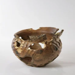 Vaso scultoreo in legno di corniolo Cornus Mas