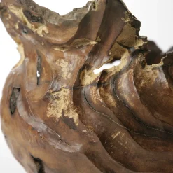Vaso scultoreo in legno di corniolo Cornus Mas