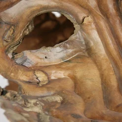 Vaso scultoreo in legno di corniolo Cornus Mas