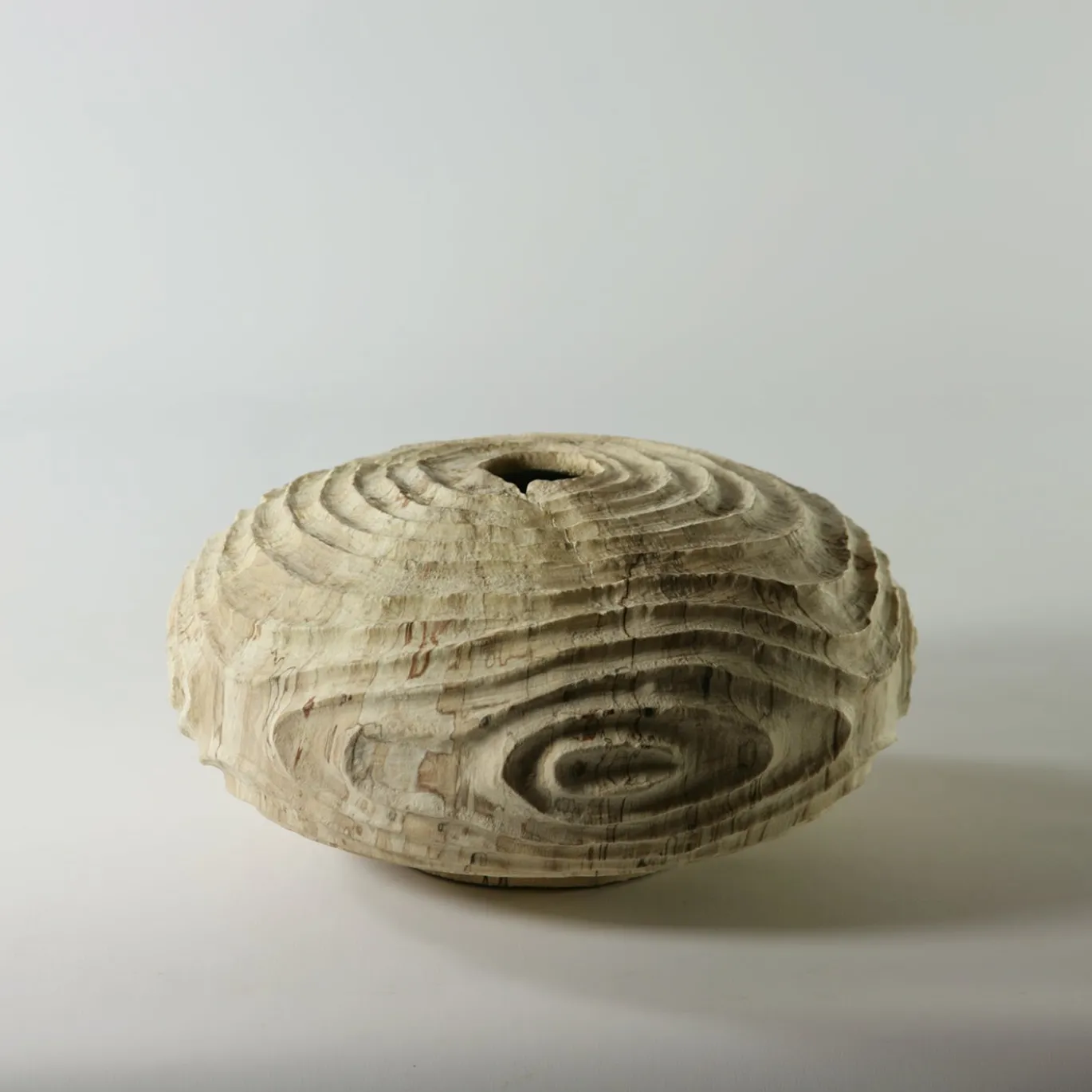 Vaso scultoreo in legno di faggio Fagus Sylvatica con scanalature concentriche