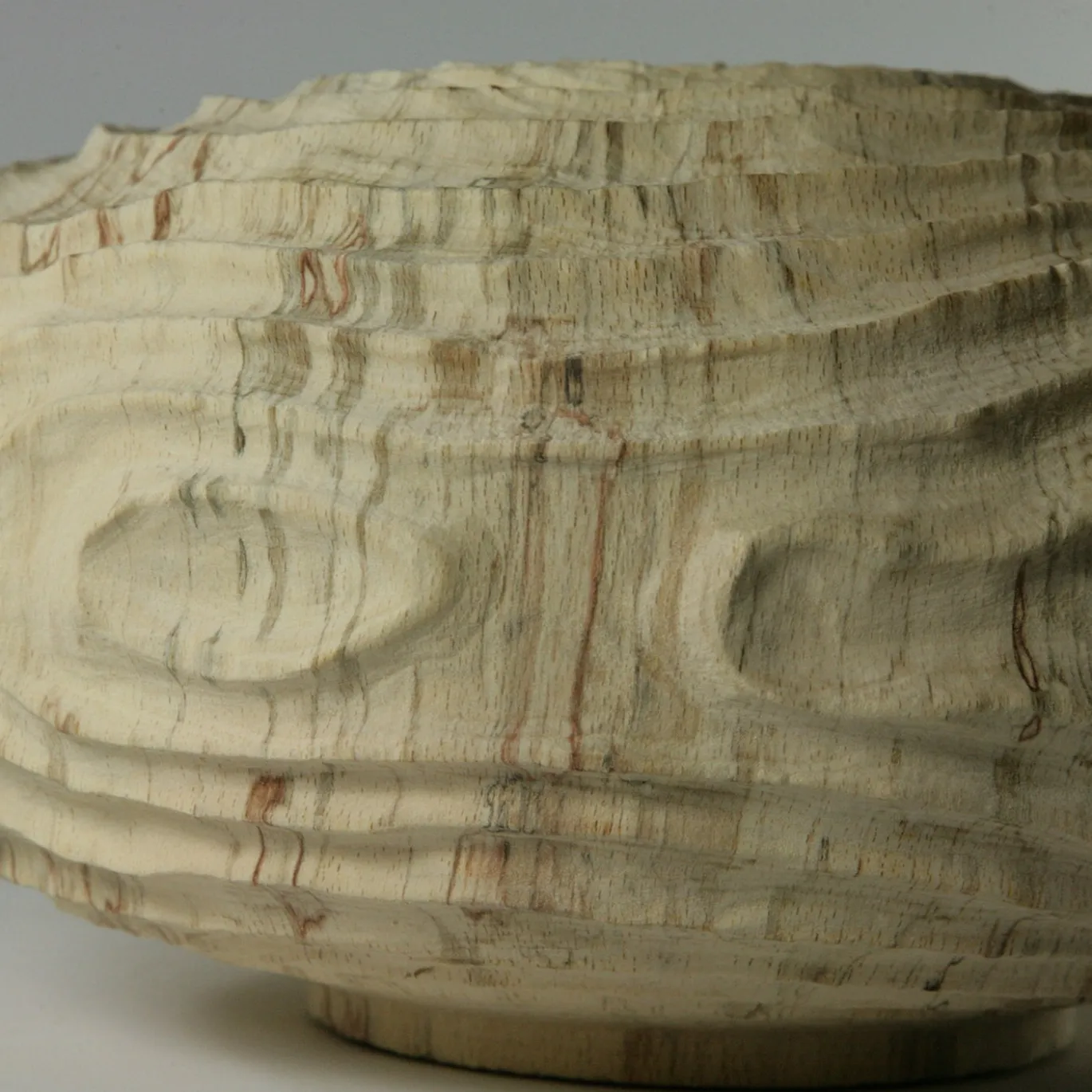Vaso scultoreo in legno di faggio Fagus Sylvatica con scanalature concentriche
