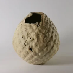 Vaso scultoreo in legno di Sambuco Sambucus Nigra