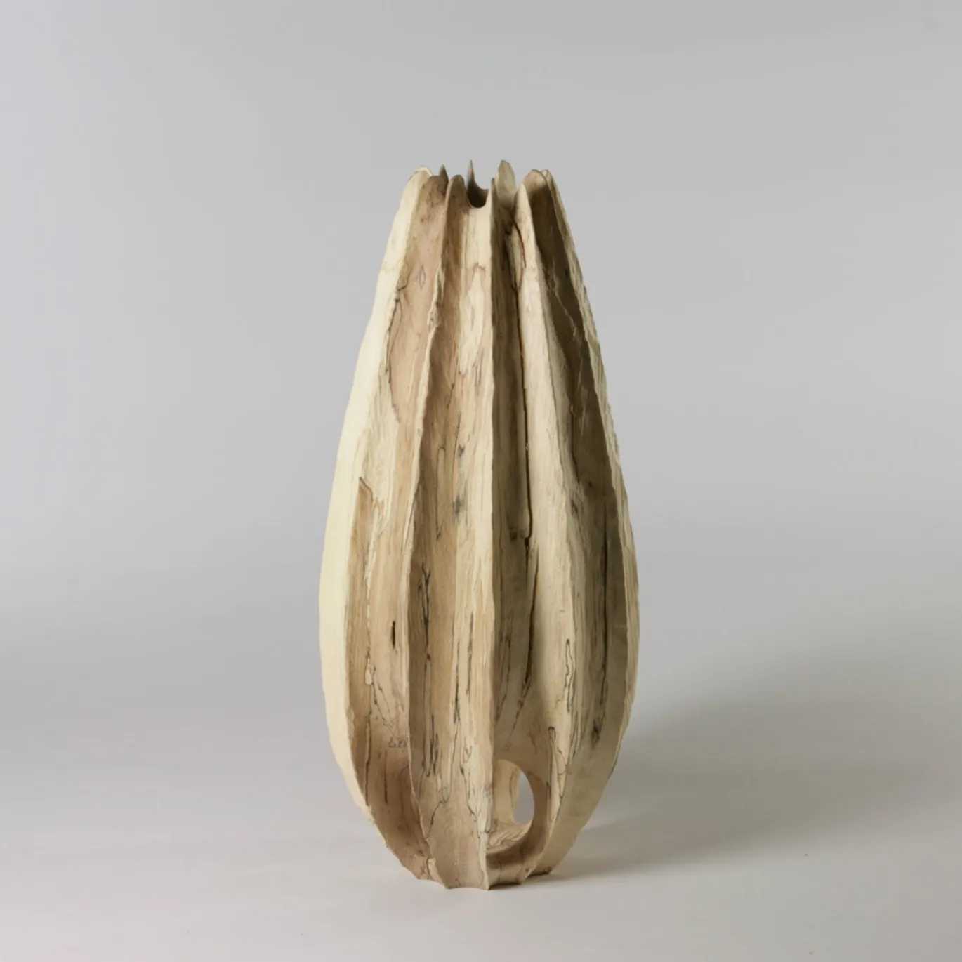 Vaso scultoreo Vase in Vase in legno di faggio Fagus Sylvatica