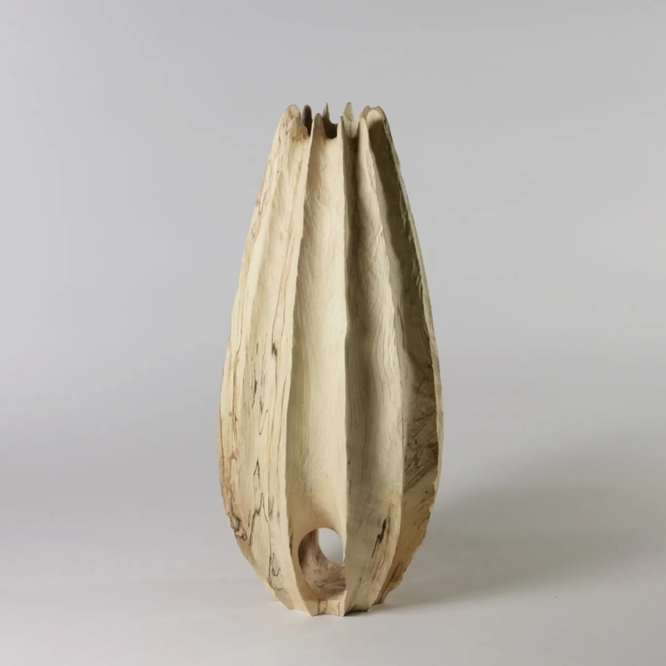 Vaso scultoreo Vase in Vase in legno di faggio Fagus Sylvatica