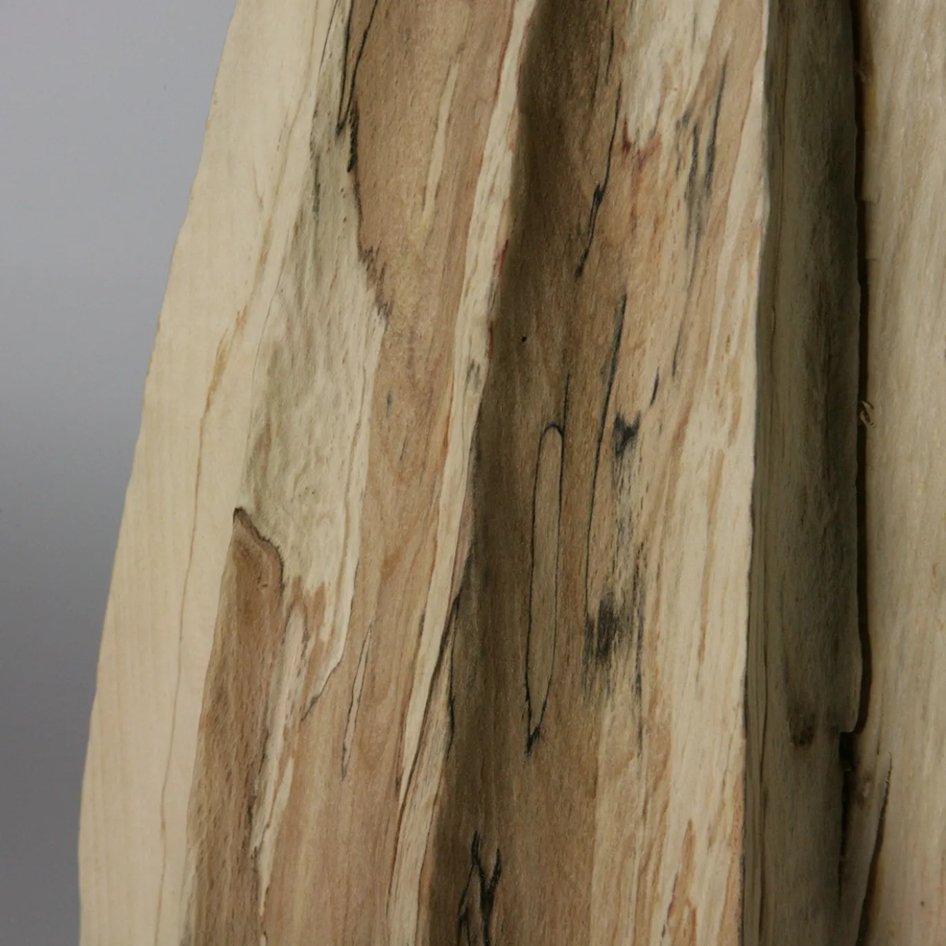 Vaso scultoreo Vase in Vase in legno di faggio Fagus Sylvatica