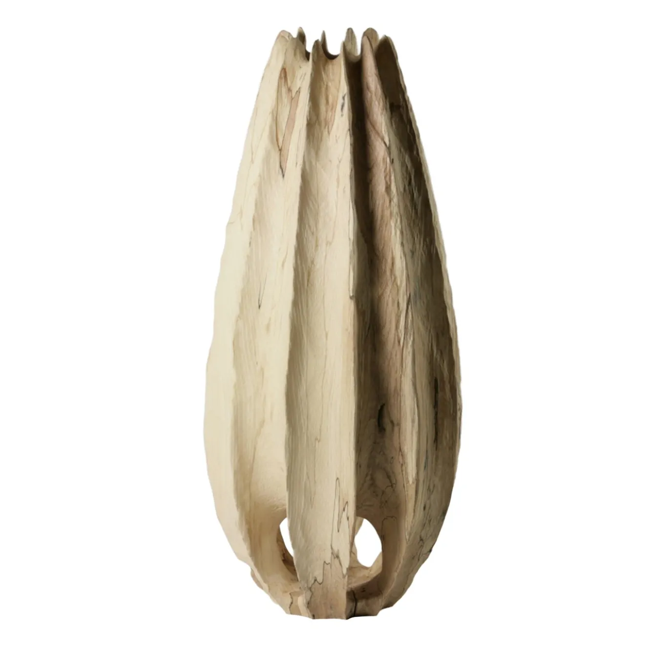 Vaso scultoreo Vase in Vase in legno di faggio Fagus Sylvatica
