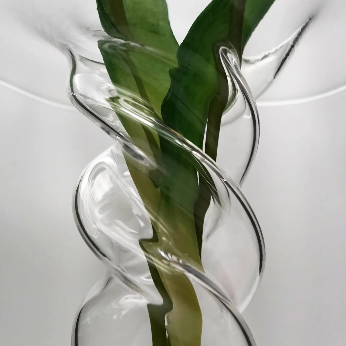 Vaso verde papavero