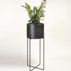 Vitis Nexum Alto Nero Abatellis Cachepot
